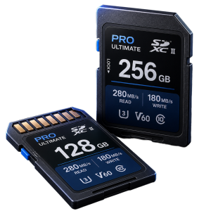 Camera SD cards