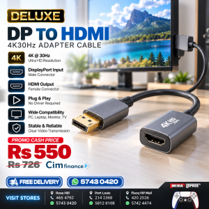 DELUXE DisplayPort to HDMI Adapter Cable – 4K 30Hz | DP Male to HDMI Female Converter